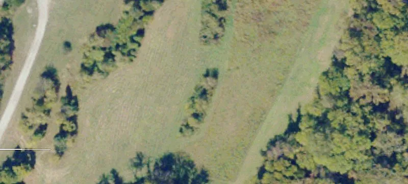 Altavista, VA 24517