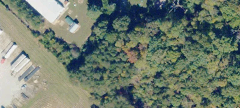 1084 Phelps Crk Rd