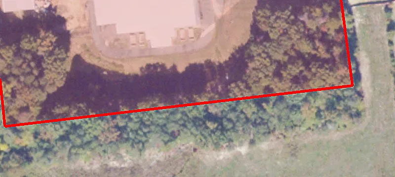 Nene Dr