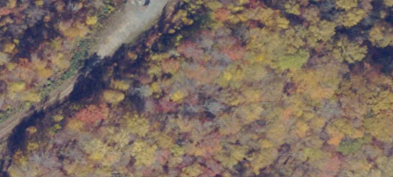 Jewell Ridge, VA 24622
