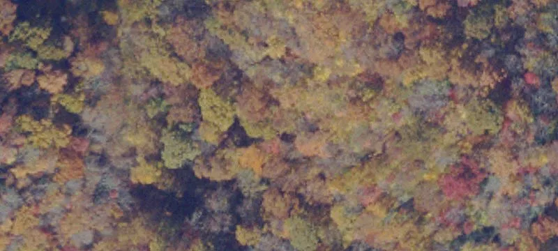 Jewell Ridge, VA 24622