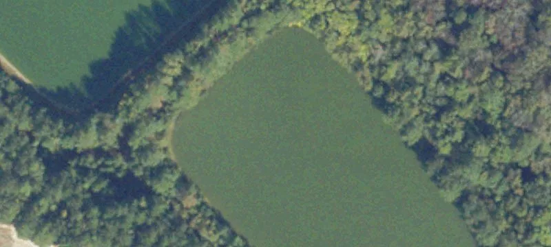 Courtland, VA 23837