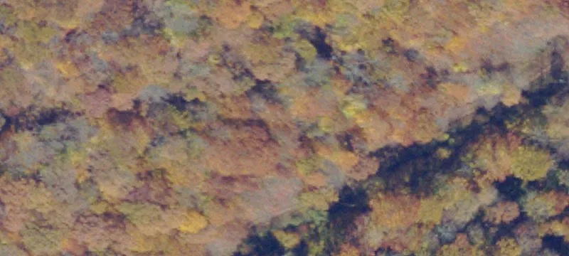 Jewell Ridge, VA 24622