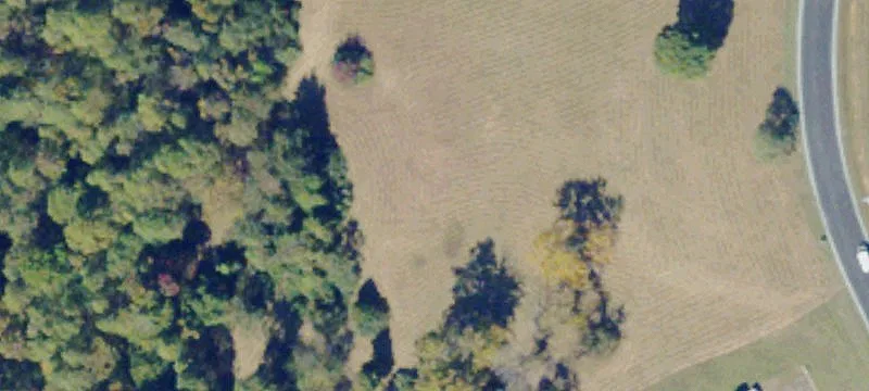 Forest, VA 24551