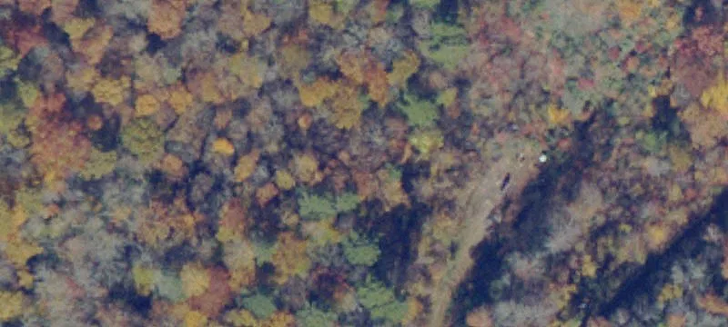 Jewell Ridge, VA 24622