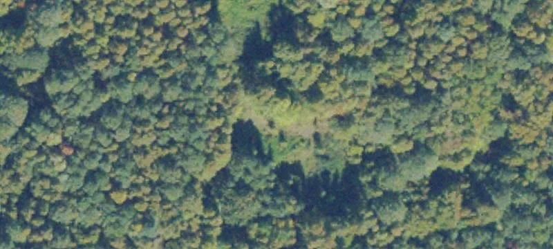 Scott Rd
