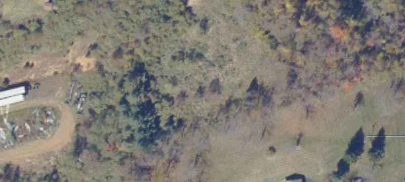 Cedar Bluff, VA 24609