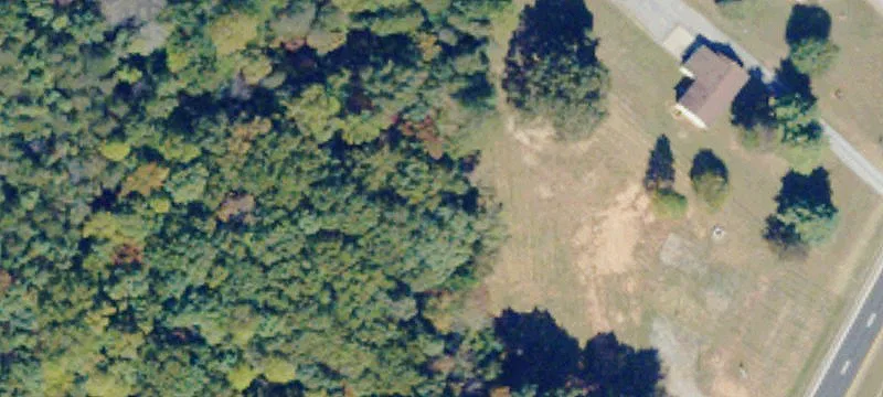 Wards Rd