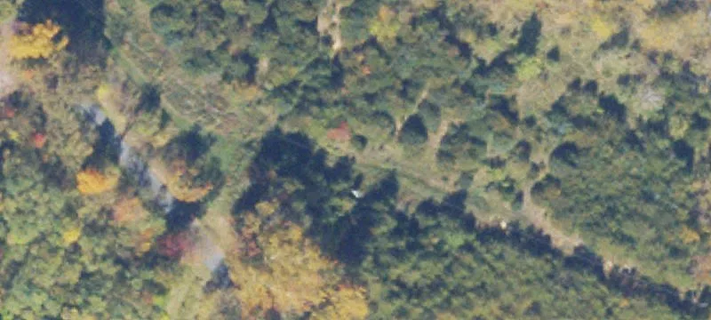 Edinburg, VA 22824