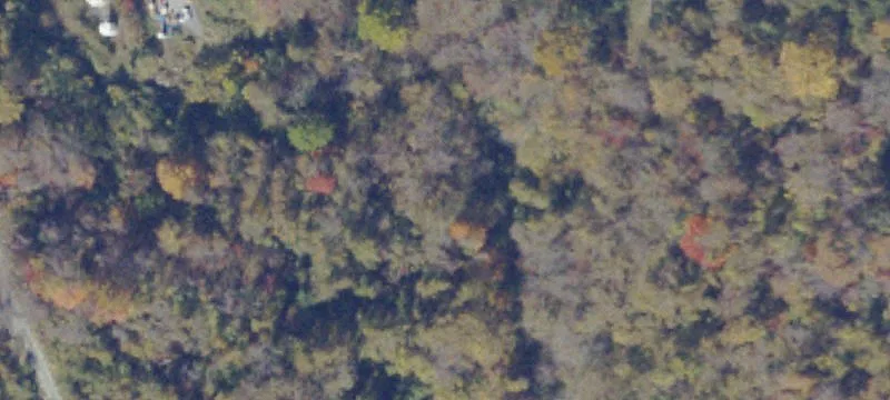 Cedar Bluff, VA 24609