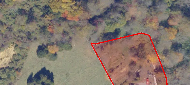 Cedar Bluff, VA 24609