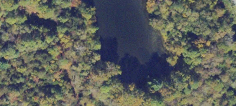 Evington, VA 24550