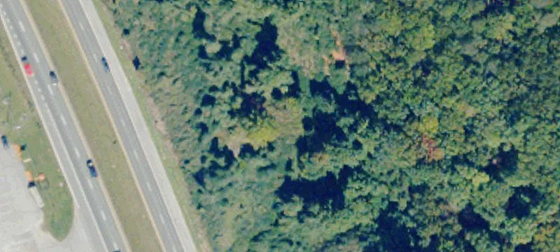 Wards Rd