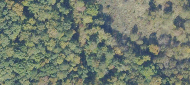 Henrico, VA 23233