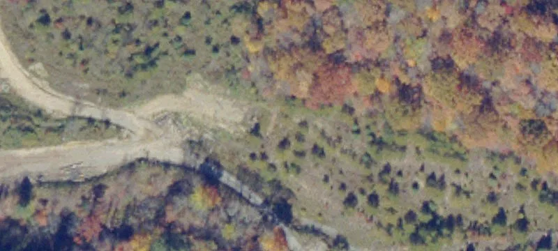 Bandy, VA 24602