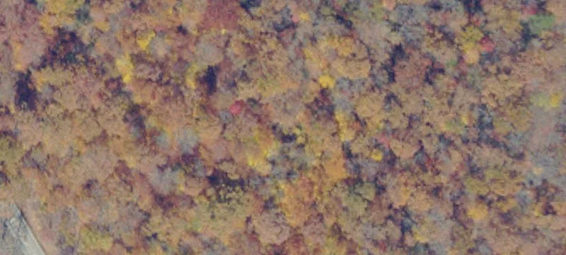 Jewell Ridge, VA 24622