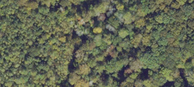Hickory Frk Rd
