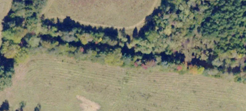 Evington, VA 24550
