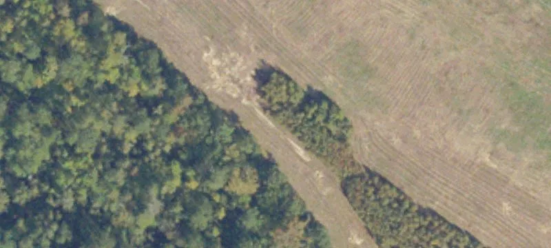 Courtland, VA 23837
