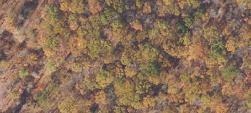 Jonesville, VA 24263