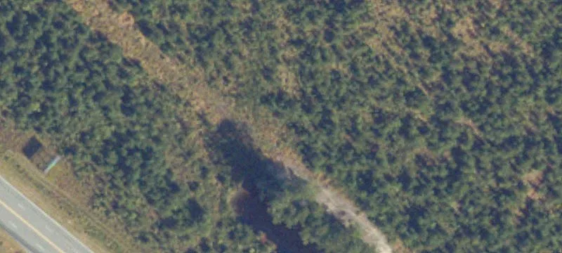 Ivor, VA 23866