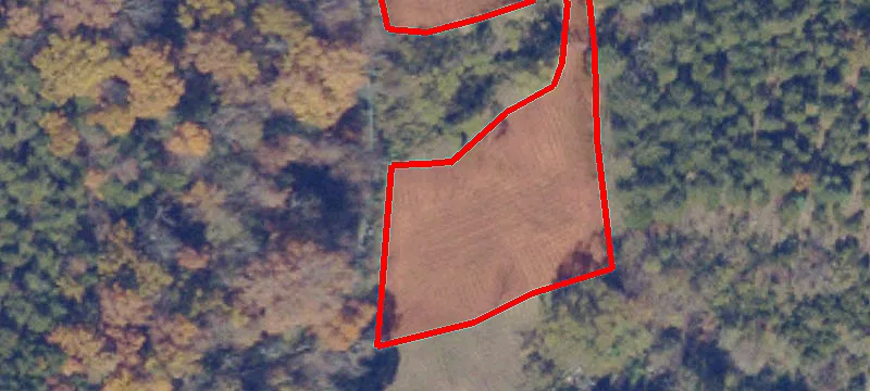 Cedar Bluff, VA 24609