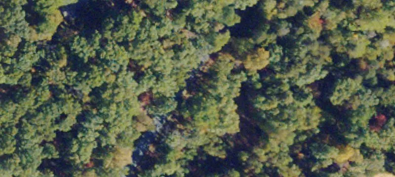 Scottsville, VA 24590
