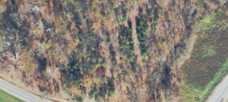 Mtn Pass Rd