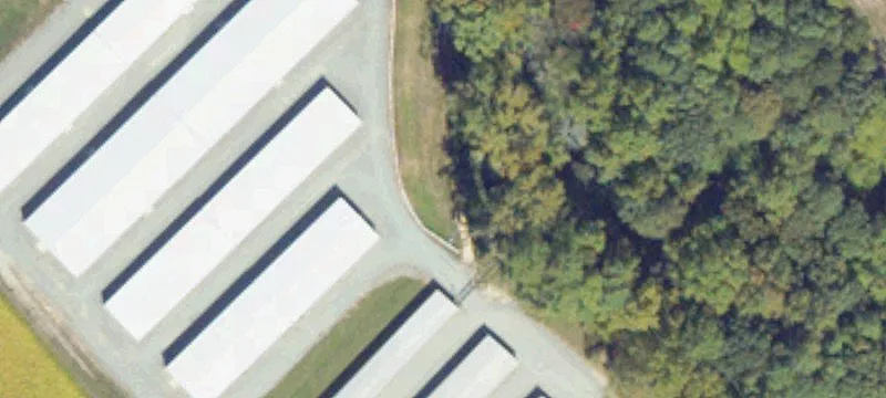 Willis Rd