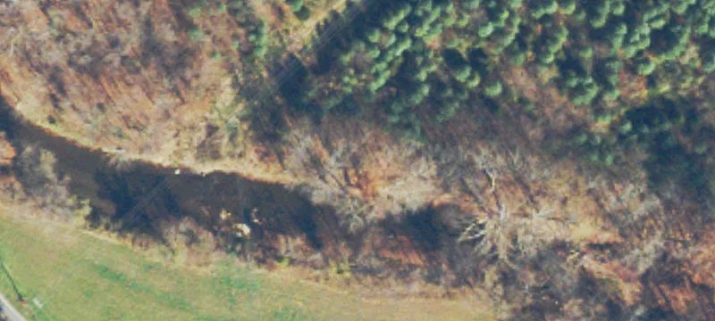 Roanoke Rd