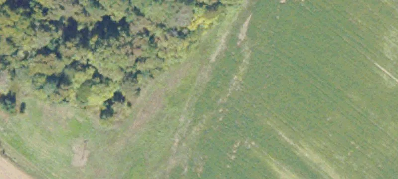 Pne Log Rd