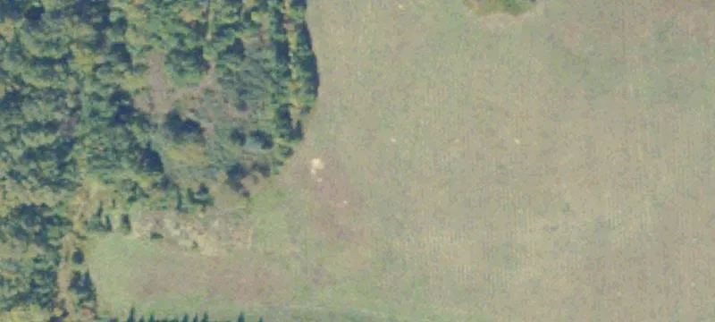 Pouncey Tract Rd