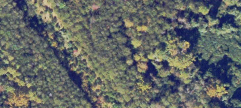 45 Bermuda Dr