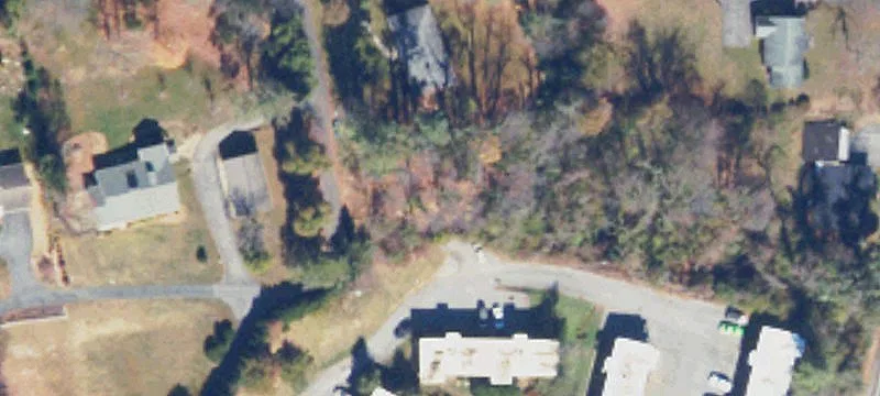 Holly Ln