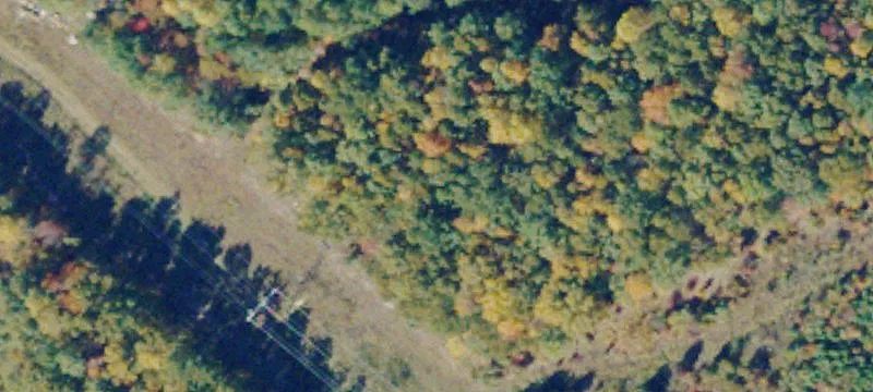 Crewe, VA 23930