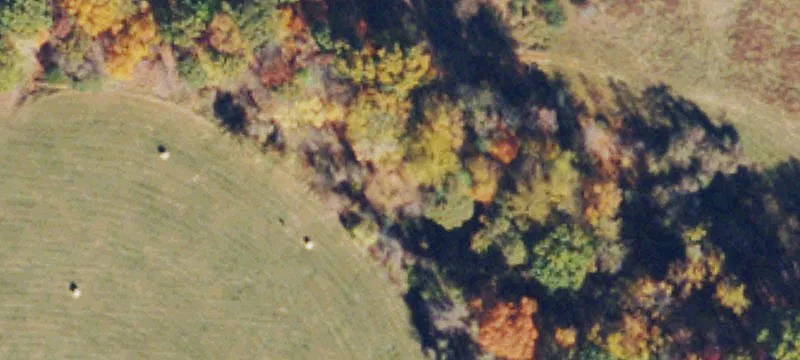 Forest, VA 24551