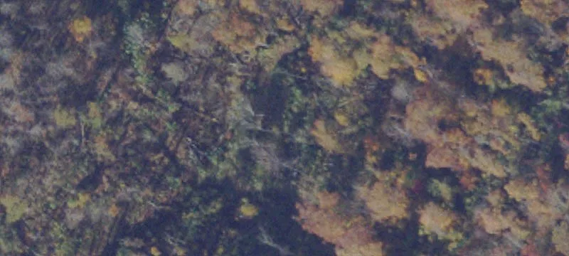 Hurley, VA 24620