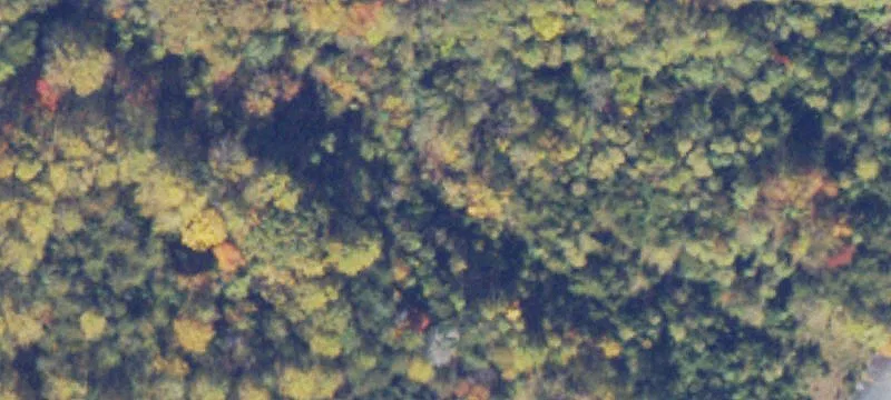 Ruckersville, VA 22968