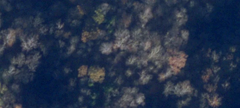 Big Rock, VA 24603