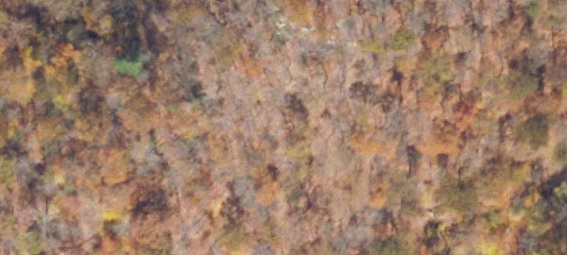 Big Rock, VA 24603