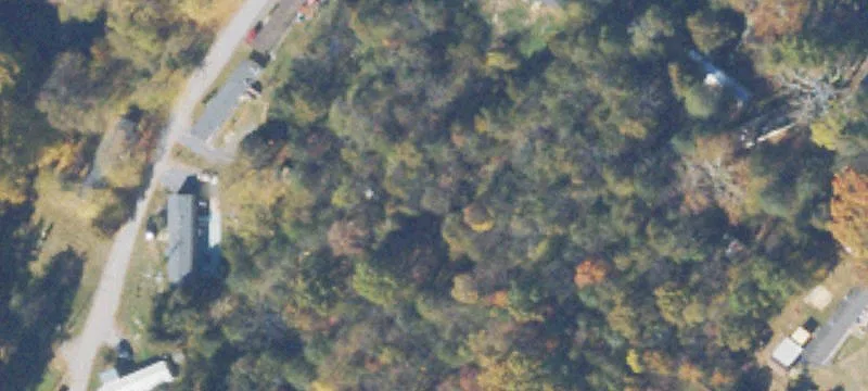 Cedar Tree Ln