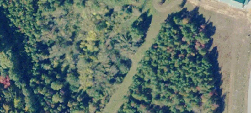 Bracey, VA 23919