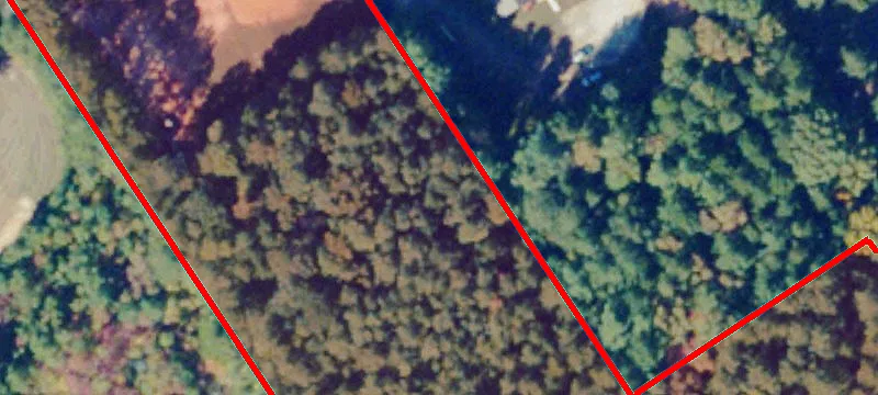 2450 Mineral Spgs Rd