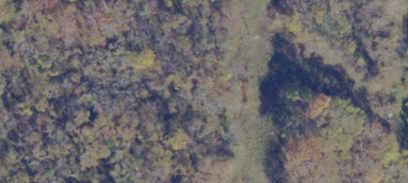 259 Carbide Ln