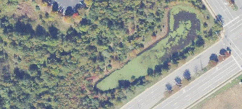 Carl D Silver Pkwy