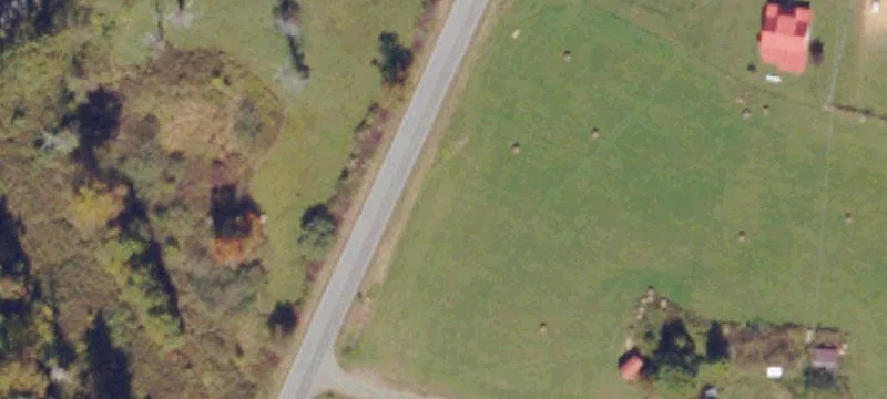  Meadows