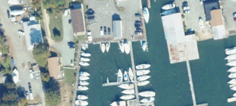 920 Timberneck Rd