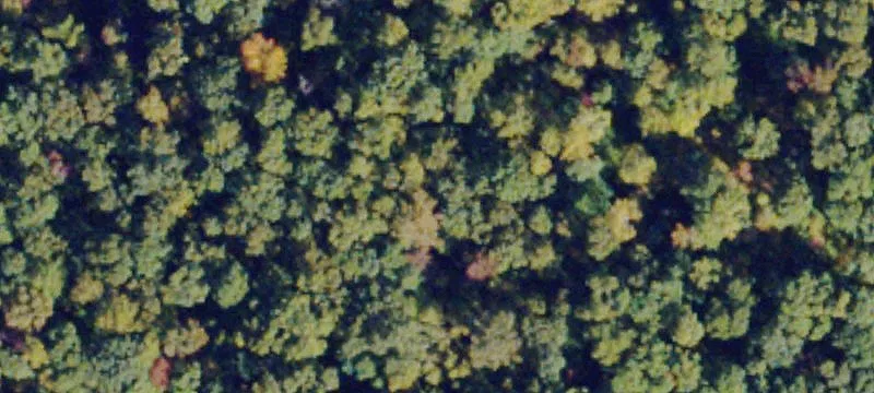 Ca Ira Rd