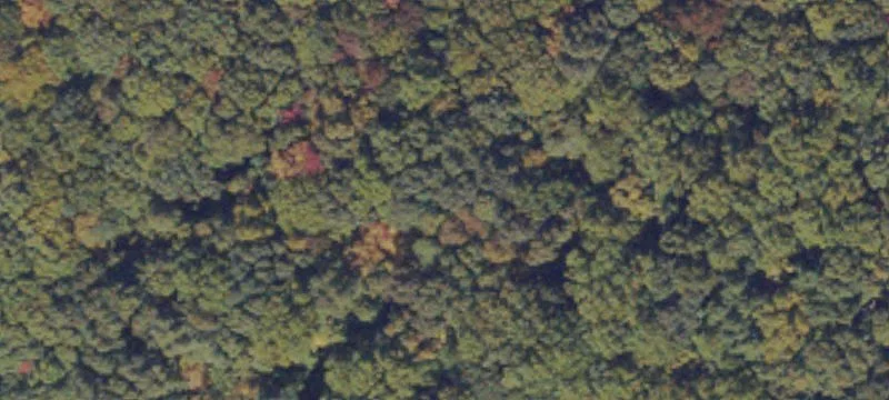  Meadows