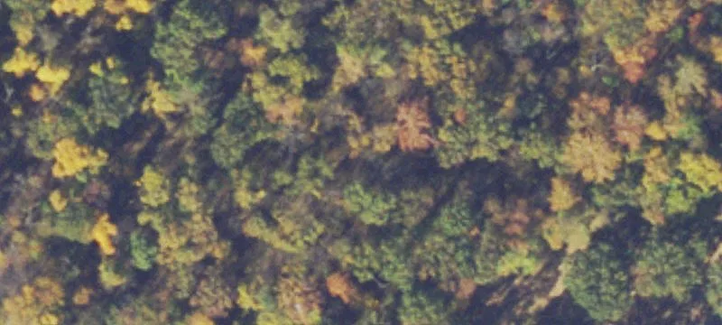 Timberville, VA 22853
